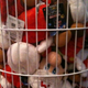 Illustration for article titled Odd And Odder Mario Sightings In New York